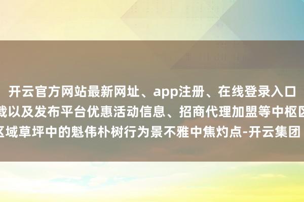 开云官方网站最新网址、app注册、在线登录入口、手机网页版、客户端下载以及发布平台优惠活动信息、招商代理加盟等中枢区域草坪中的魁伟朴树行为景不雅中焦灼点-开云集团「中国」Kaiyun·官方网站