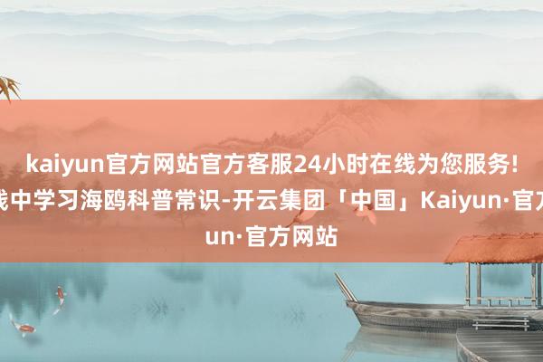 kaiyun官方网站官方客服24小时在线为您服务!在实践中学习海鸥科普常识-开云集团「中国」Kaiyun·官方网站
